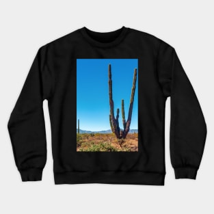 Cacti, Baja Sur, Mexico Crewneck Sweatshirt